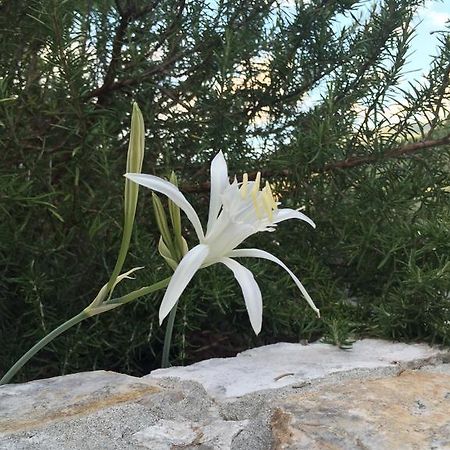 Ca' Di Bianca Hotel Moneglia Luaran gambar