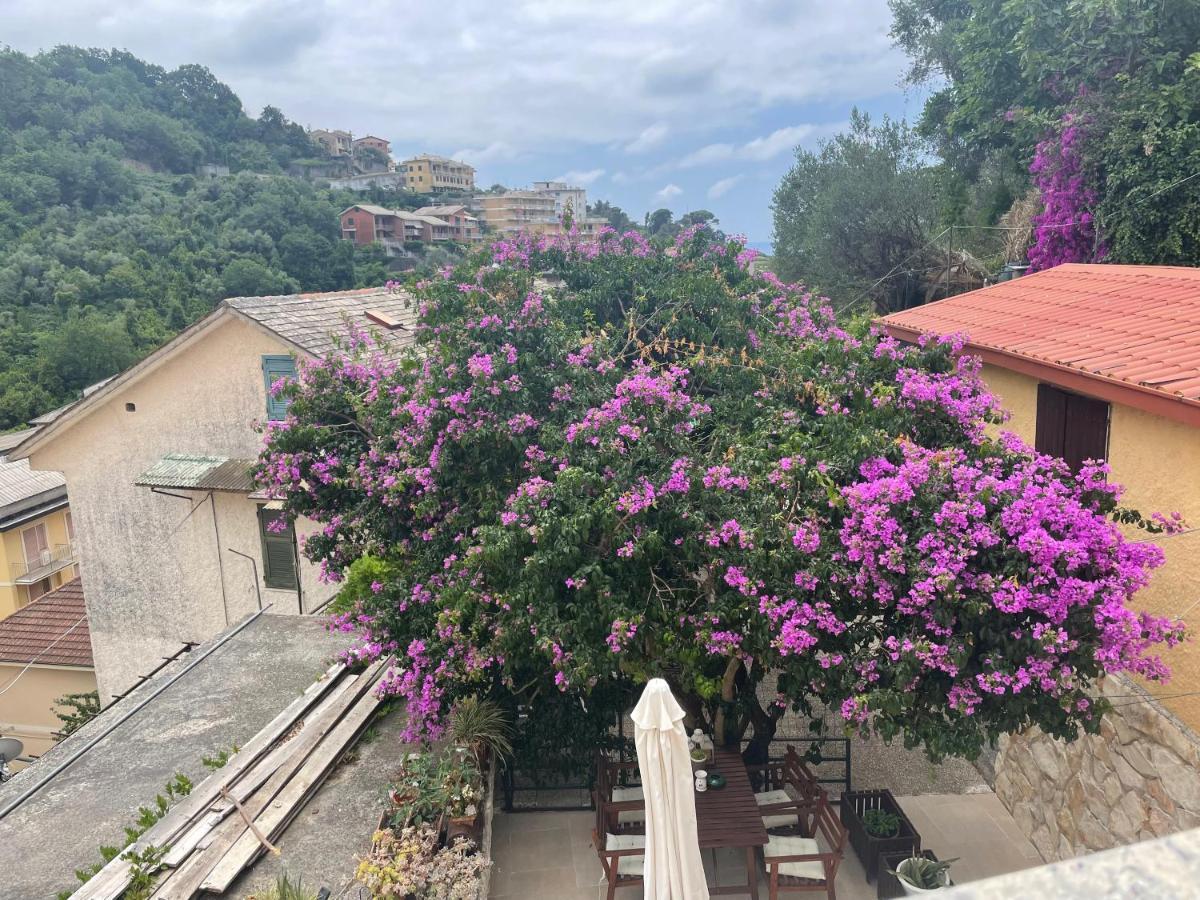 Ca' Di Bianca Hotel Moneglia Luaran gambar