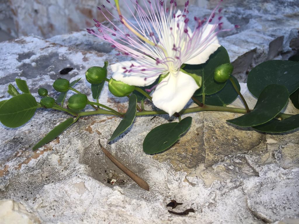 Ca' Di Bianca Hotel Moneglia Luaran gambar