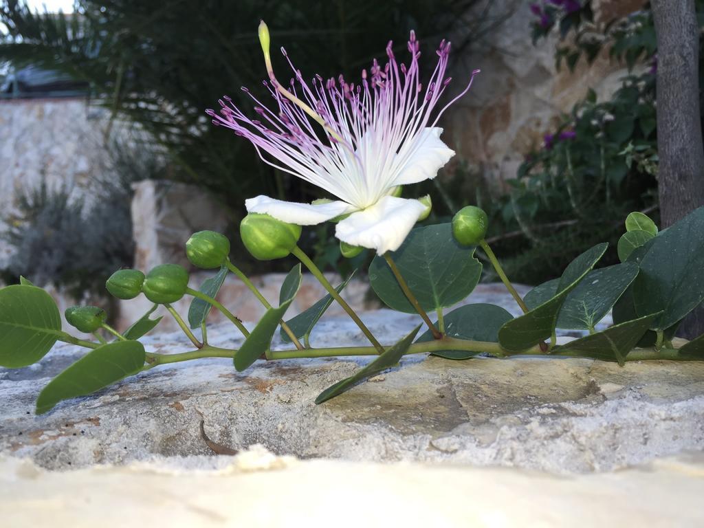 Ca' Di Bianca Hotel Moneglia Luaran gambar